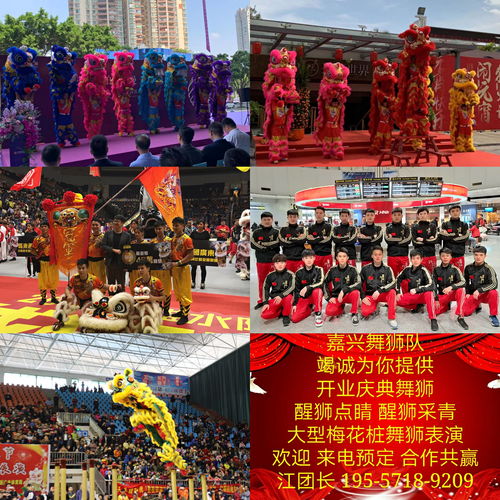 嘉兴舞狮队 开业庆典舞狮表演价格与营业性文艺表演全解析